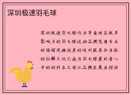 深圳极速羽毛球