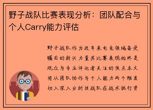 野子战队比赛表现分析：团队配合与个人Carry能力评估